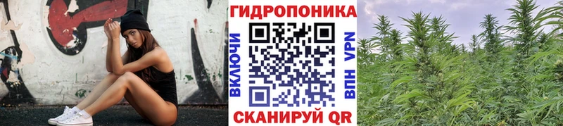 Марихуана White Widow  кракен ссылки  Юрьев-Польский 